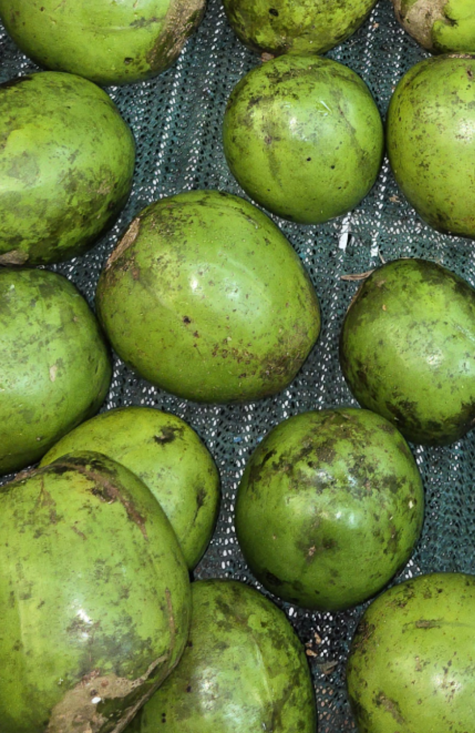 Amra fruit each