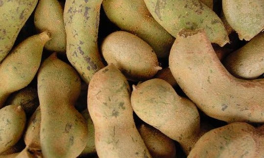 Tamarind - Raw per lb