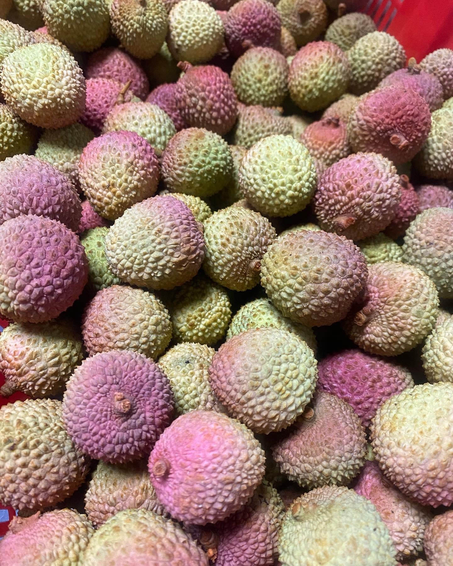Litchi per lb