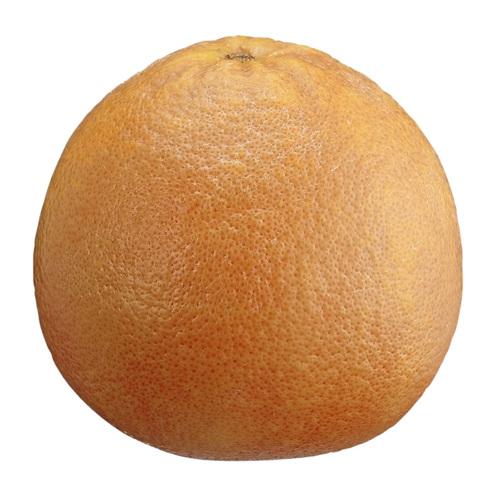 Red Grapefruit 1 ea