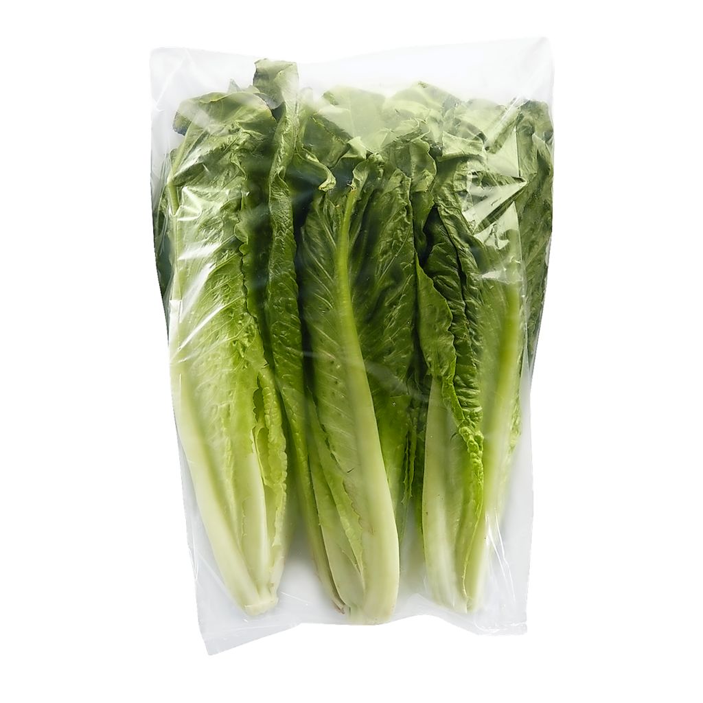 Romaine Hearts 3 Pack-punjabigroceries.com