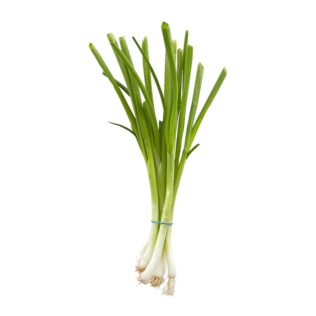 Green Onion 1 bunch