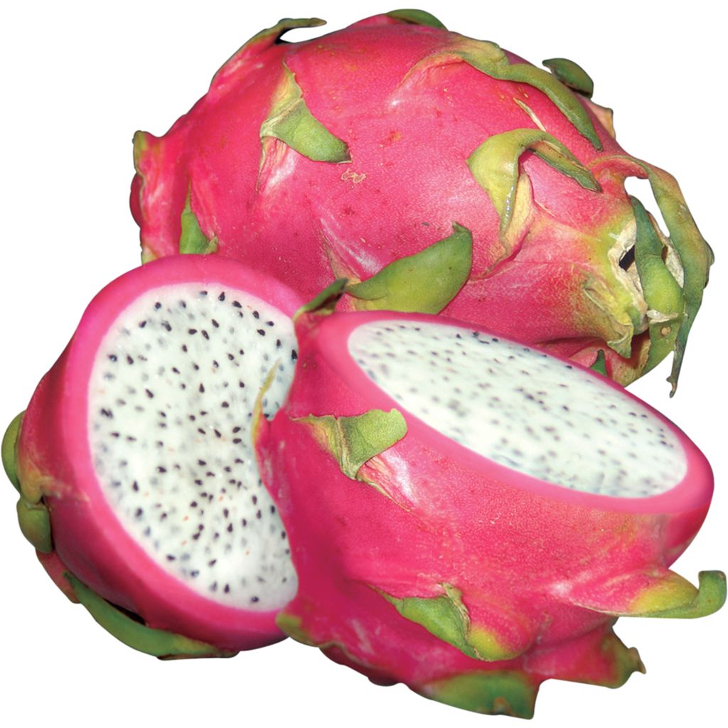 Dragon Fruit 1 ea