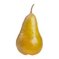 Bosc Pears ea
