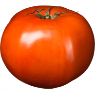 Tomato large Beefsteak Red Each