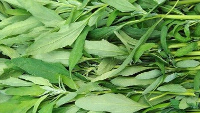 Bathua Leaves - Bunch