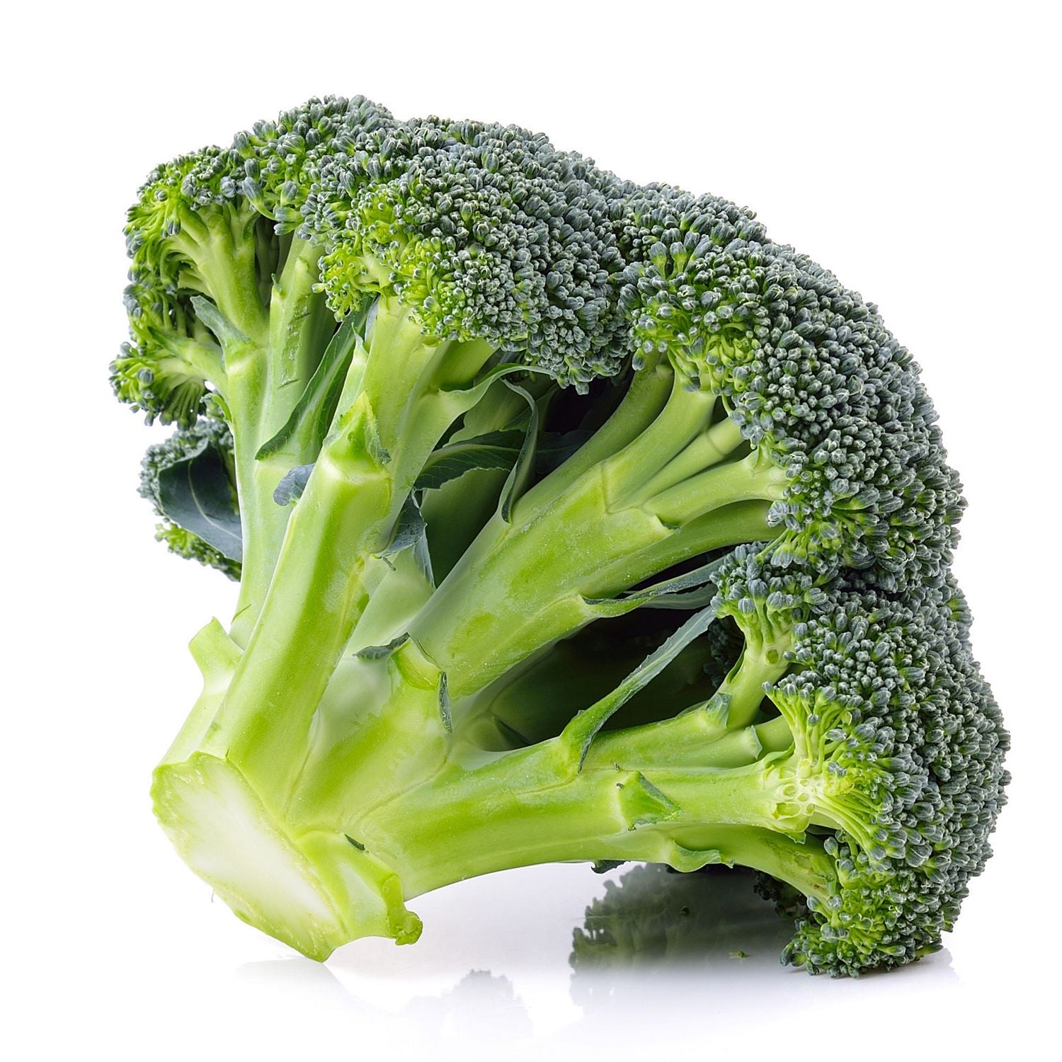 BROCCOLI  Crown (1 ea)