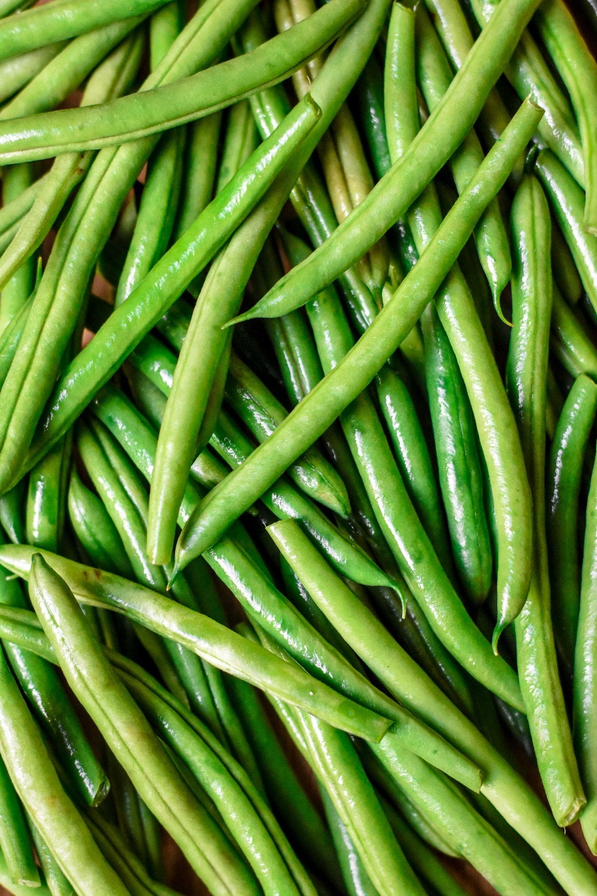 Green Beans-punjabigroceries.com