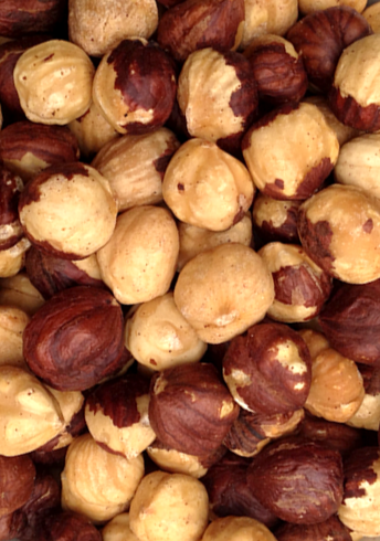 Hazelnuts - 1 Lb.