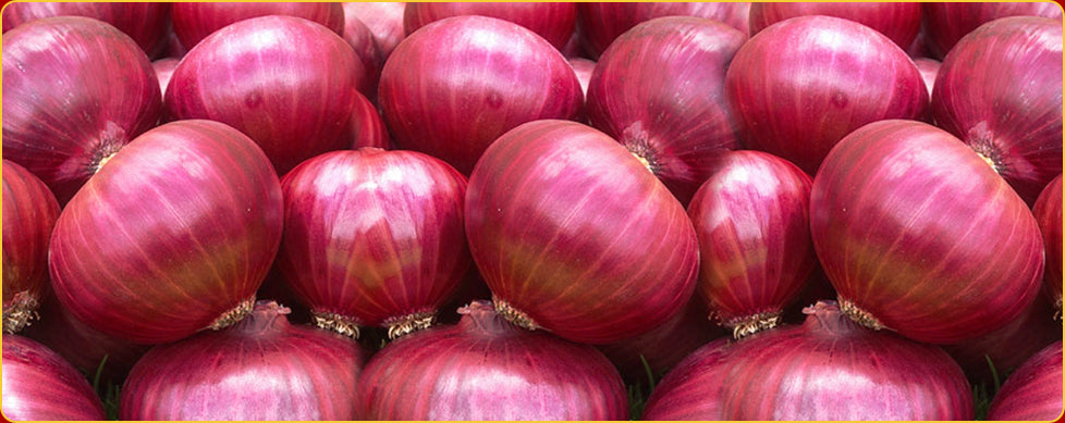 ONION - RED - Punjabi Groceries