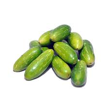 Tindora - Ivy Guard - 1 lb