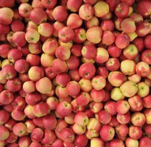 Fresh Ambrosia Apples, 3 lb Bag 