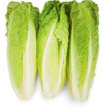 ORGANICS Organics Romaine Lettuce Hearts 3 ea