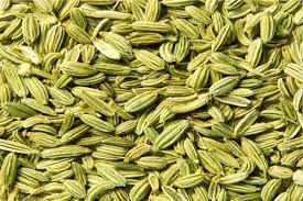 Fennel Seeds - punjabigroceries.com