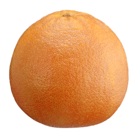 Red Grapefruit (1 ea)