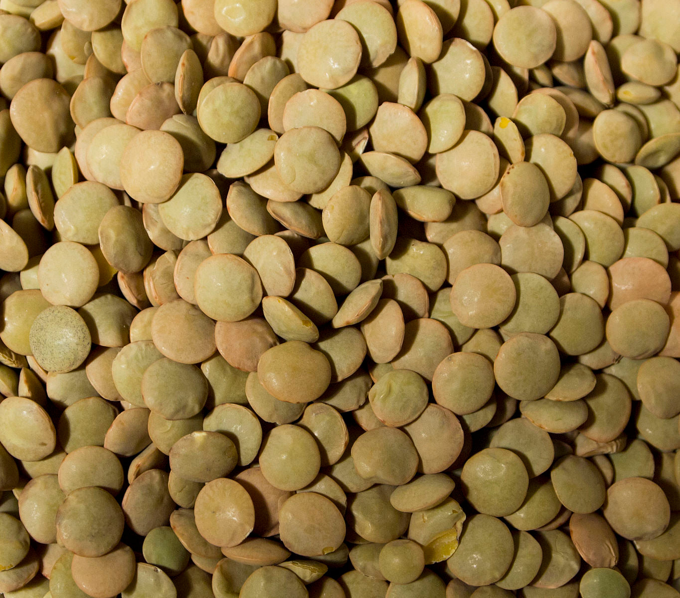 Lentils - Whole - Green per lb