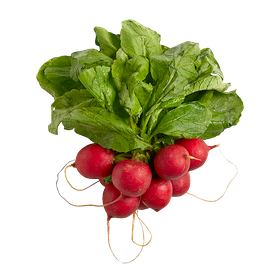 Radishes (1 bunch)