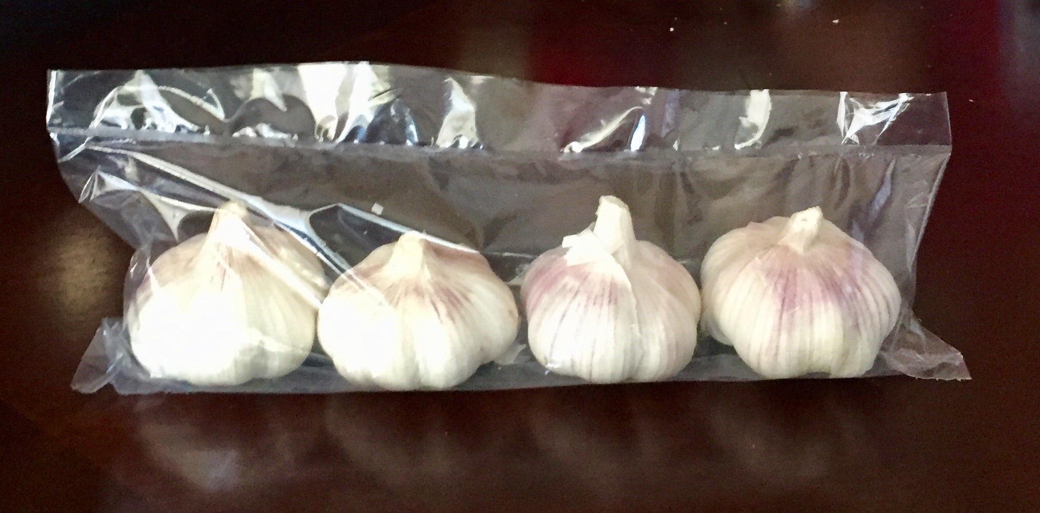 GARLIC - Pack of 4