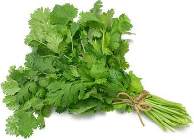 Dhaniya - coriander,cilantro Leave-punjabigroceries.com