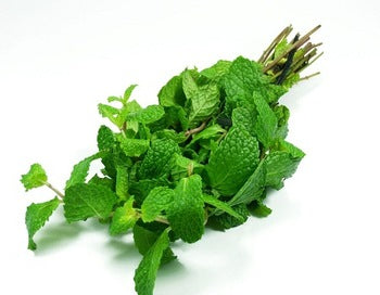 Mint Leaves / Pudina - 1 Each