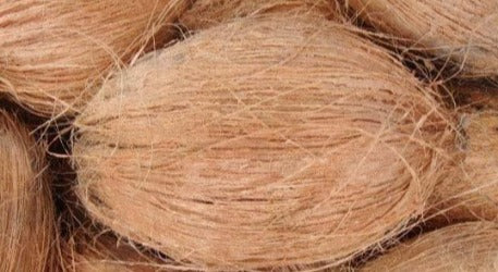 Coconut with Husk - Each