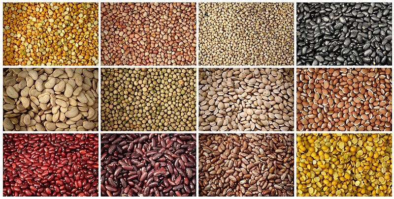 Cereal, Pulses & Grains