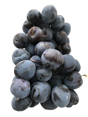 Black Plums 