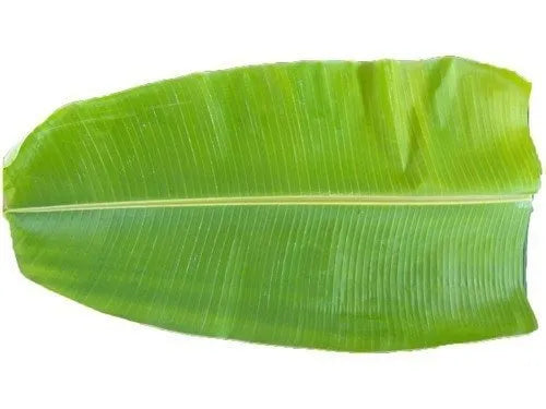 Fresh banana leaves pk of 2