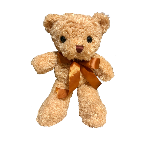 Teddy Bear Stylish Browmie