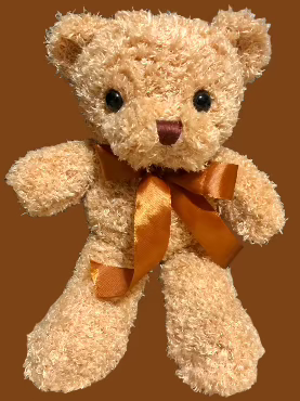 Teddy Bear