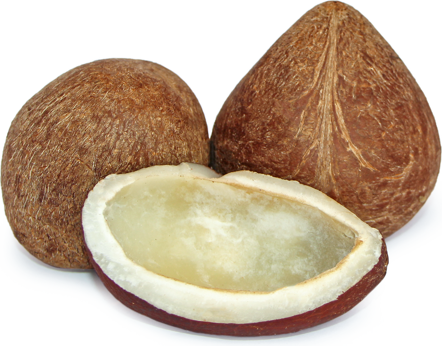 Dry coconut whole - Each