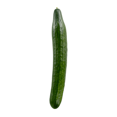 English Cucumber 1 ea