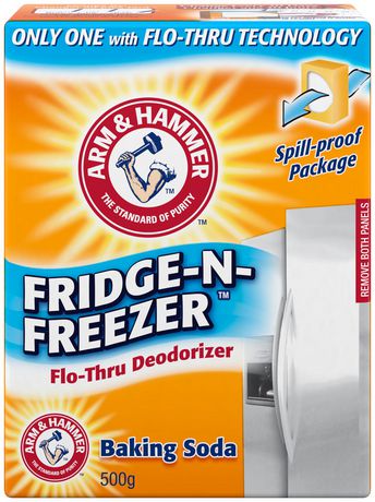 ARM & HAMMER Fridge-N-Freezer Baking Soda - 500 g - punjabigroceries.com