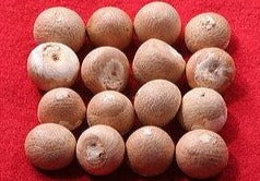 Sopari - Betel Nuts -  Pack of 9