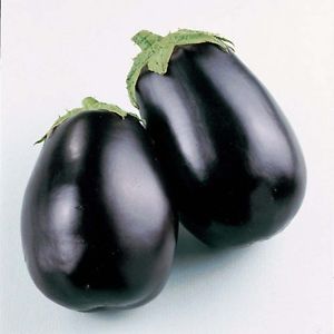 Round Eggplant -punjabigroceries.com