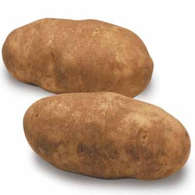 Potatoes - Russet - 1 lb