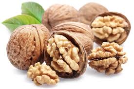 walnuts in shell -1 lb