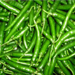 Hot Green Chillies - Peppers- 100g