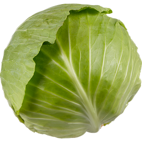 Green Cabbage each 1.6 kg average - Punjabi Groceries