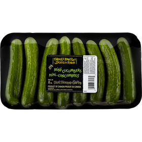 FARMER'S MARKET  Mini Cucumbers (8 pack) - Punjabi Groceries