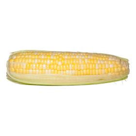 Bi-Colour Corn (1 ea) -punjabigroceries.com