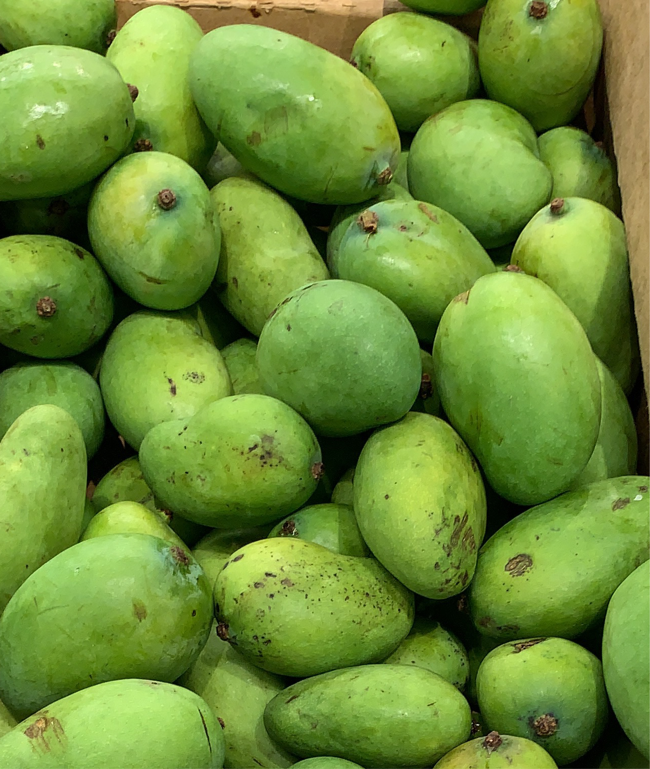 Green mangoes Unripe per lb