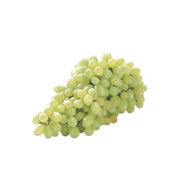 Green Seedless Grapes 1.2 kg average - Punjabi Groceries