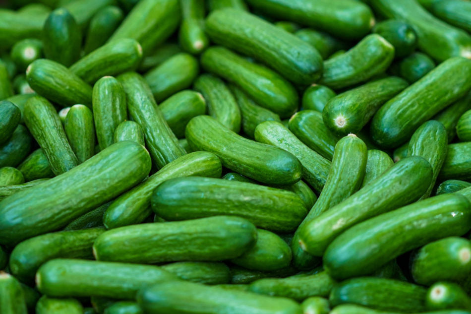 Mini Cucumbers per lb